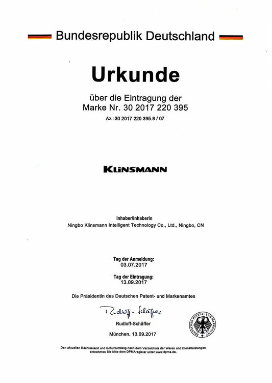 Klinsmann Intelligent Technology Co., Ltd.: A Trusted Brand with International Recognition