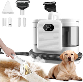 Portable Carpet & Upholstery Steam Cleaner Machine